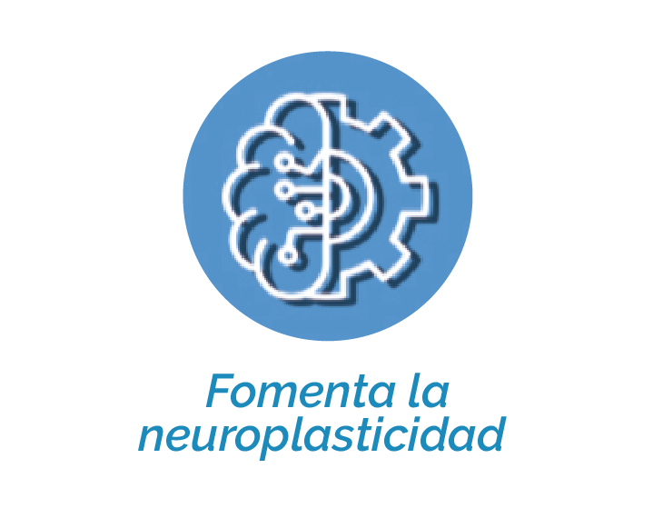 Neuroplasticidad